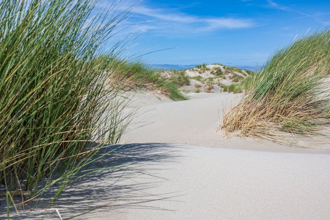 Prikkelarme vakantie voor mantelzorgers: zo plan je rustmomenten zonder schuldgevoel